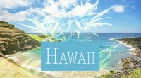 Hawaii cannabis