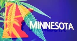 Minnesota Marijuana