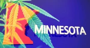 Minnesota Marijuana