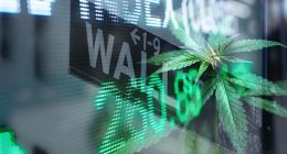 Top Marijuana Stocks On Wall Street
