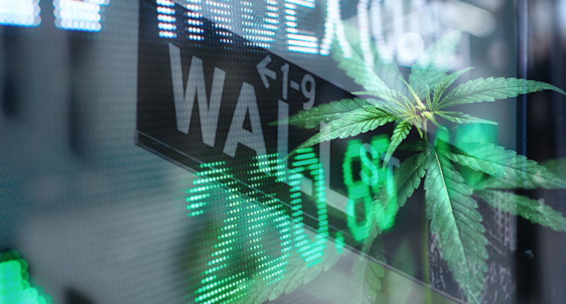 Top Marijuana Stocks On Wall Street