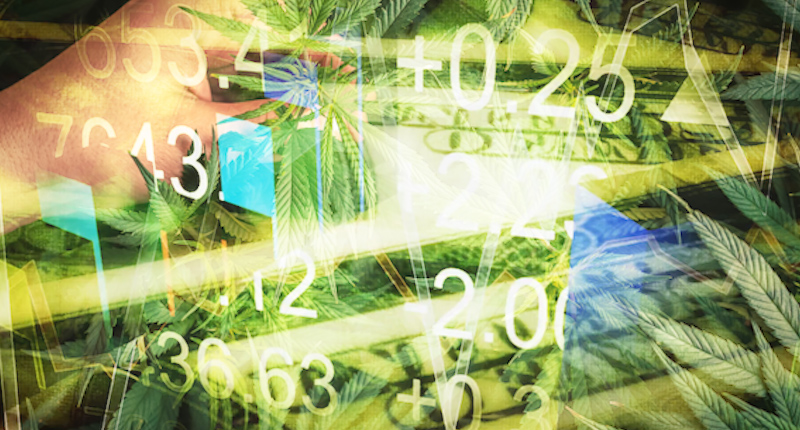 Top Marijuana Stocks To Invest In This Week