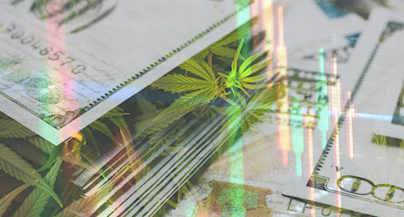 Top Marijuana Stocks Today In February