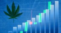 Top Pot Stocks To Watch Last Week Of February