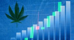 Top Pot Stocks To Watch Last Week Of February