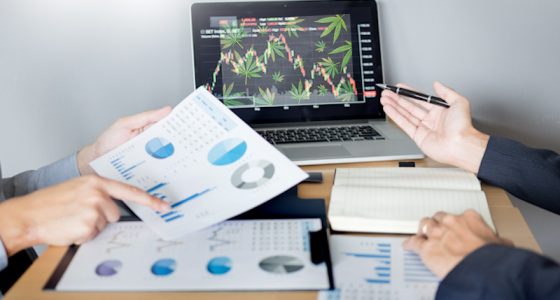 Best Cannabis Stocks For Gains In April 2023