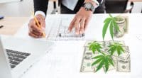 Best Cannabis Stocks For Gains In MArch