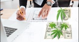 Best Cannabis Stocks For Gains In MArch