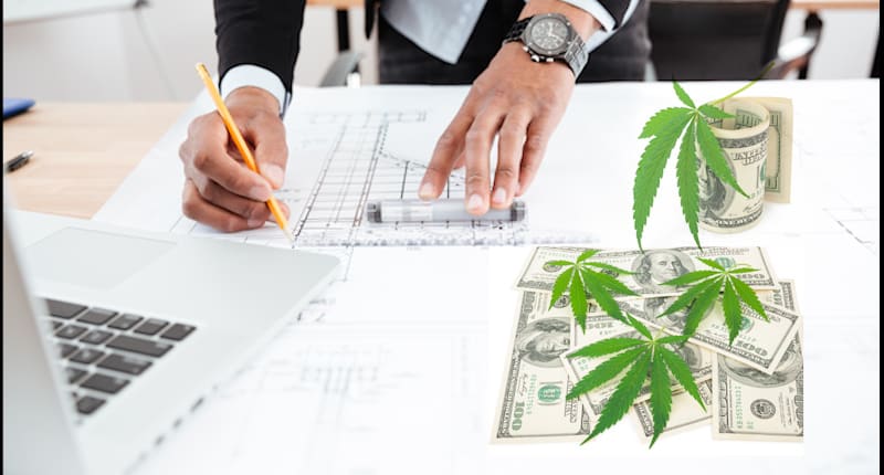 Best Cannabis Stocks For Gains In MArch