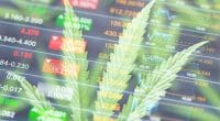 Best Cannabis Stocks In March Downturn