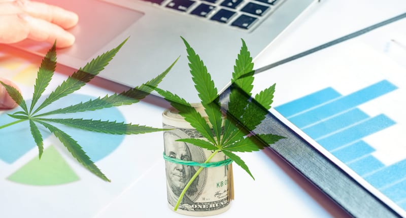 Best Cannabis Stocks Right Now In March