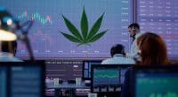 Best Cannabis Stocks To Invest in Right Now In March