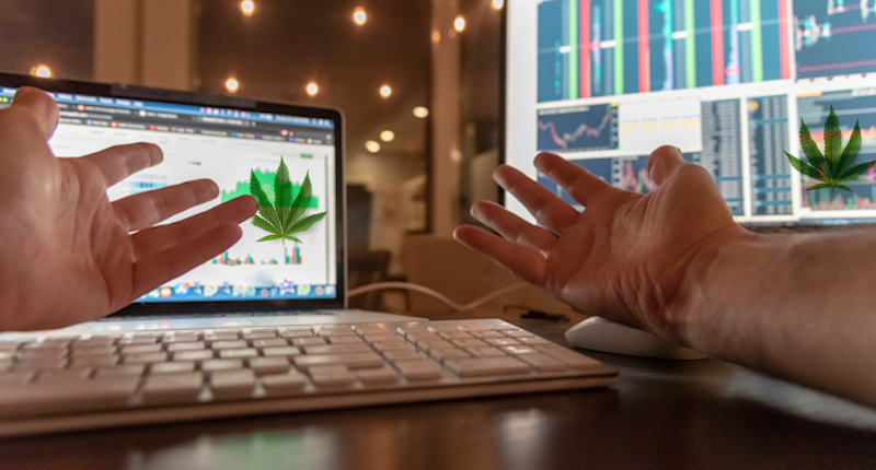 Best Marijuana Stocks Down In March