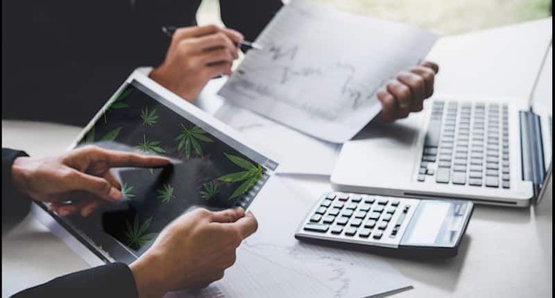 Best Pot Stocks To Buy For April