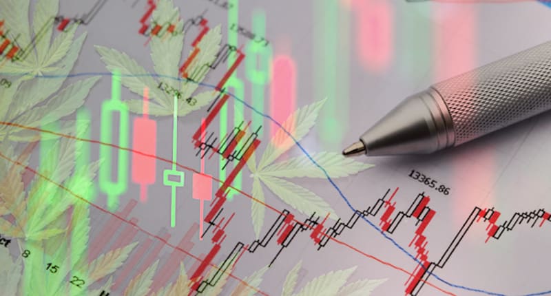 Marijuana Stocks To Watch For This Week In March