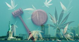 NY Cannabis Legalization