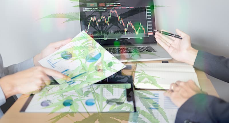 Top Marijuana Stock To Watch This Week In the Market