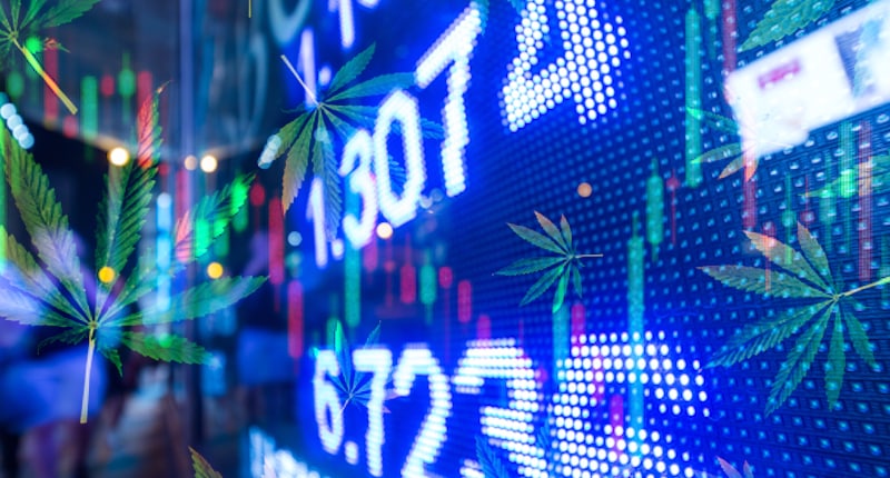 Top Marijuana Stocks March Third Week