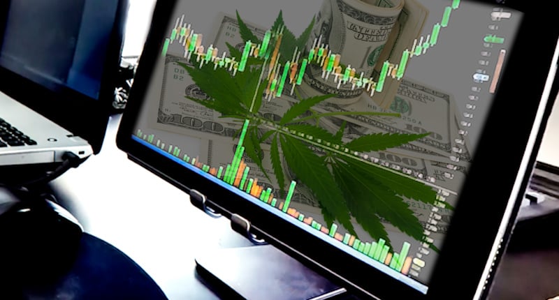 Top Pot Stocks Today In March