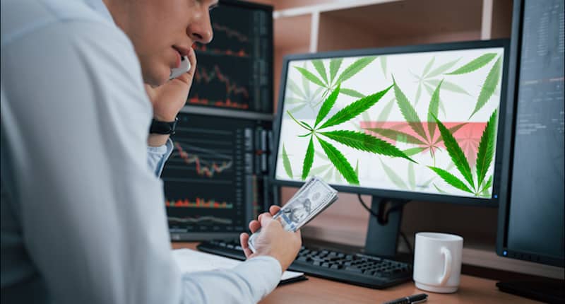 How High Could Marijuana Stocks Go This Year? - Marijuana Stocks ...