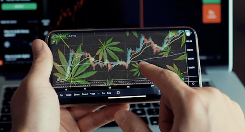 Best Cannabis Stock This Week In April