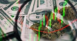 Best Cannabis Stocks To Watch Right Now In April