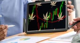 Best Pot Stocks In 2021 To Watch Right Now