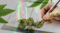 Medicinal Marijuana Stocks