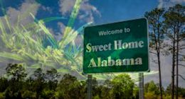 Alabama Legal Cannabis