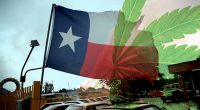 Texas Legalizes Marijuana