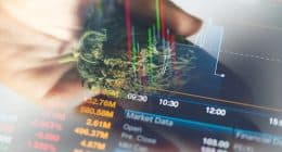 Top Cannabis Stocks To Watch Right Now In May