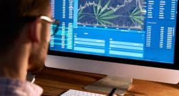 Top Marijuana Stocks In May DownTurn