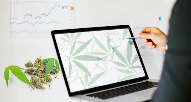 Watchlist of Top Pot Stocks In 2020