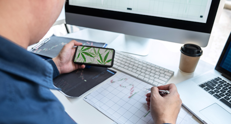 Best Marijuana Stocks To Buy Right Now In June