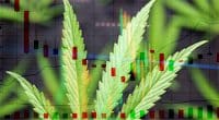 Cannabis Stocks In 2021 To Invest in