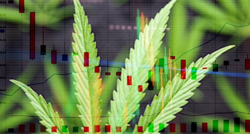Cannabis Stocks In 2021 To Invest in