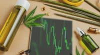 Cannabis Stocks To Buy In June 2021