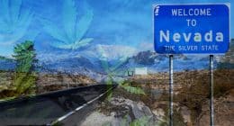 Nevada Legalized Cannabis