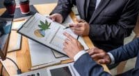 The Best Cannabis Stocks In June