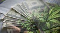 The Cannabis Stocks In June 2021