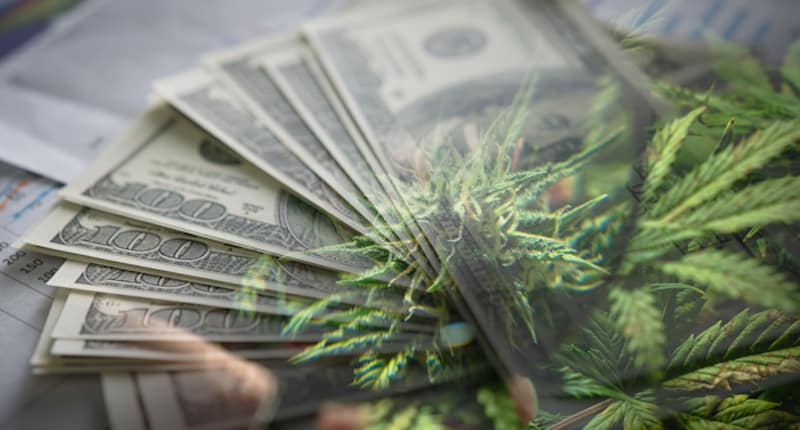 The Cannabis Stocks In June 2021