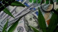 Top Marijuana Stocks For Your Watchlist Right Now