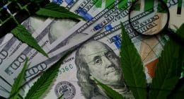Top Marijuana Stocks For Your Watchlist Right Now