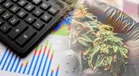 Top Performing Cannabis Stocks In 2021