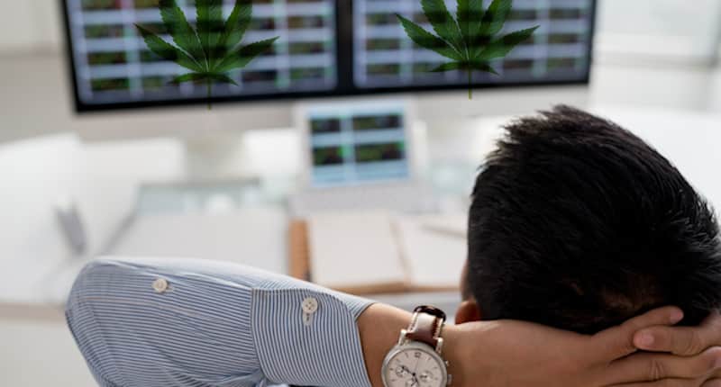 Top Pot Stocks Summer 2021