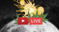 marijuana stocks livestream