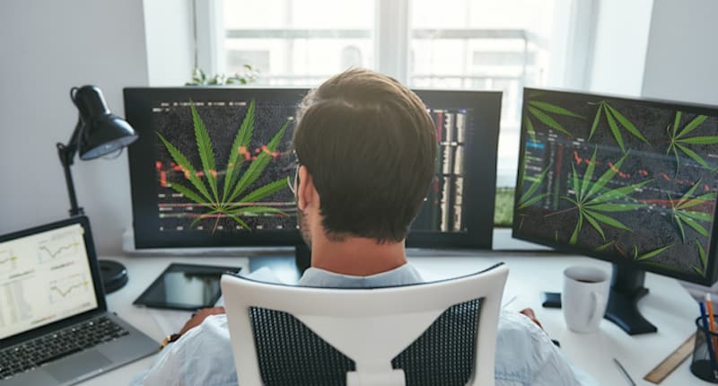 Best Pot Stocks To Buy Mid-July 2021