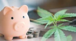 Cannabis Banking Reform