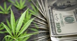 Pot Stock Rally In July