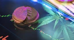 Top Marijuana Penny Stocks Right Now